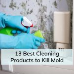 Best Cleaning Products to Kill Mold