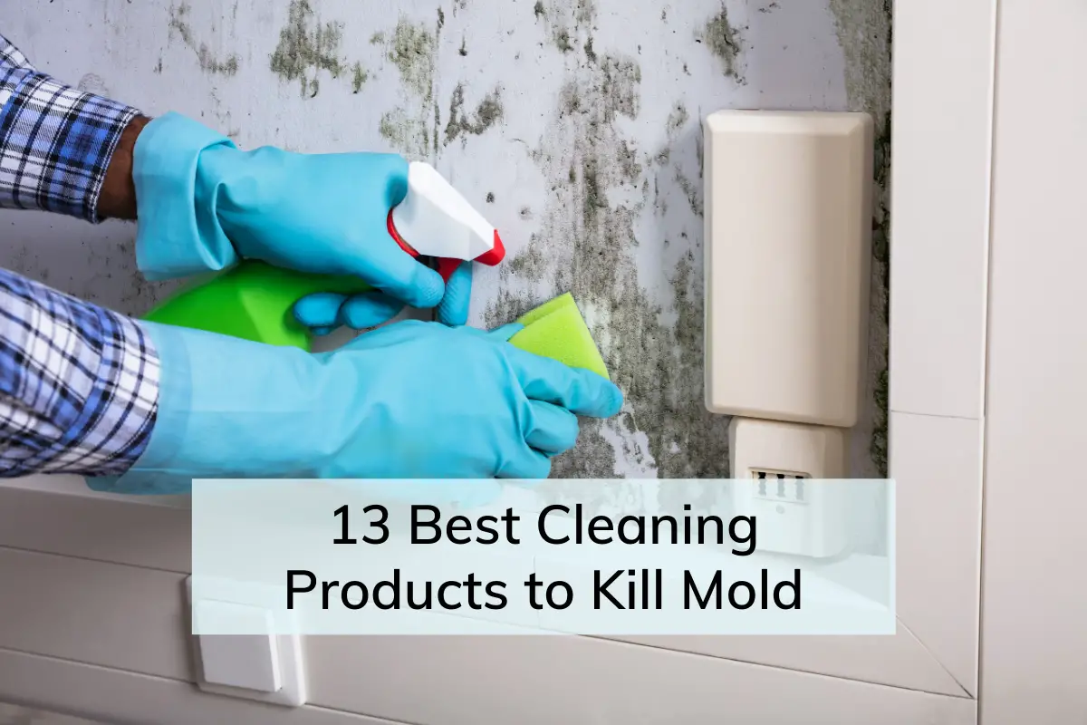 best products for killing mold on mattress